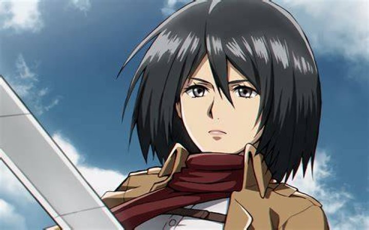 15 Best ISTJ Anime Characters You Need To Know About 15 #1 Mikasa Ackerman - ISTJ Anime Characters