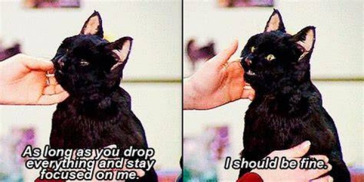 10 Relatable Quotes From Salem