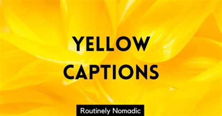 100 Perfectly Yellow Captions Routinely Nomadic