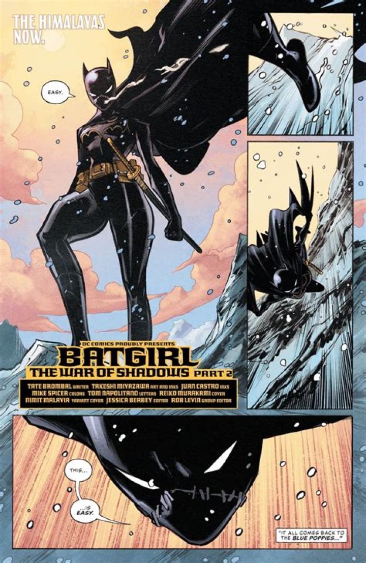 #13 Batgirl