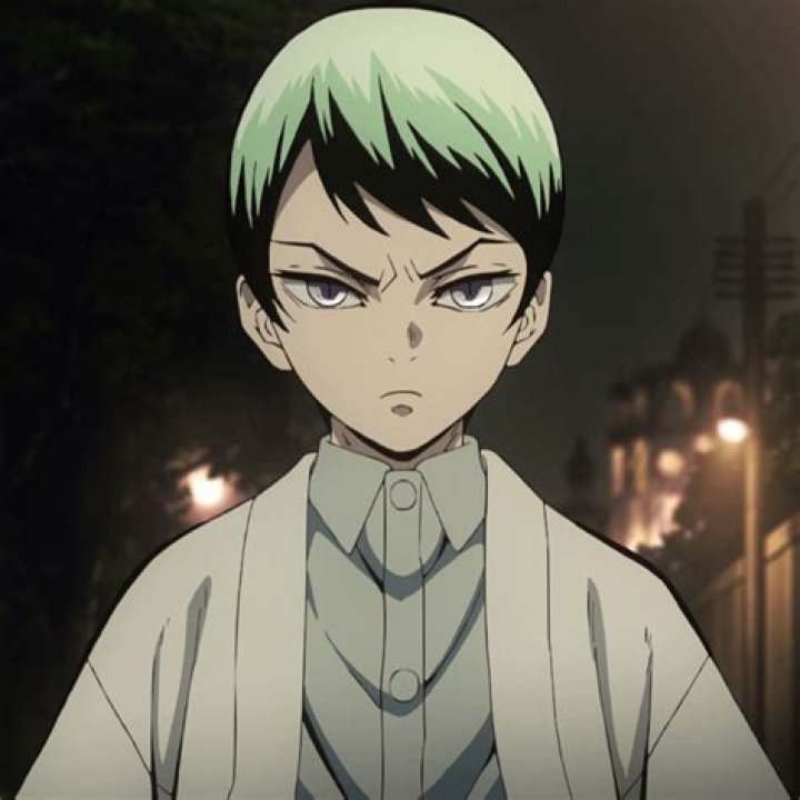 20 Best Anime Characters With Green Hair (Ranked) 3 #18 Yushiro - Green haired anime characters