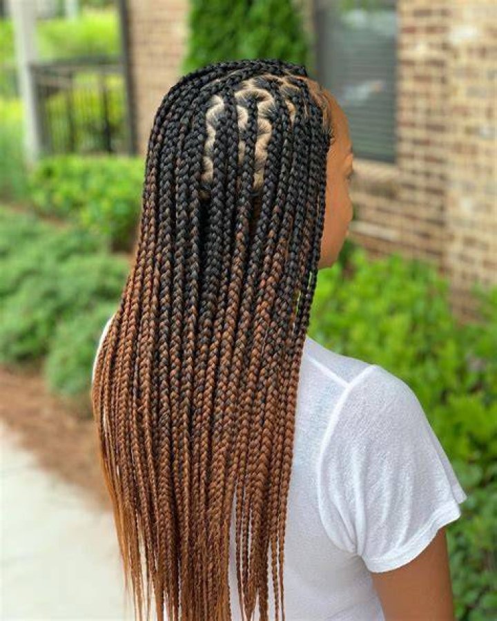 20+ Knotless Medium Box Braids Fashion Style