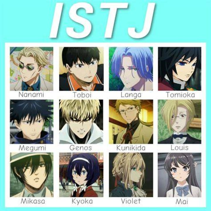 15 Best ISTJ Anime Characters You Need To Know About 9 #7 Sayaka Igarashi - ISTJ Anime Characters