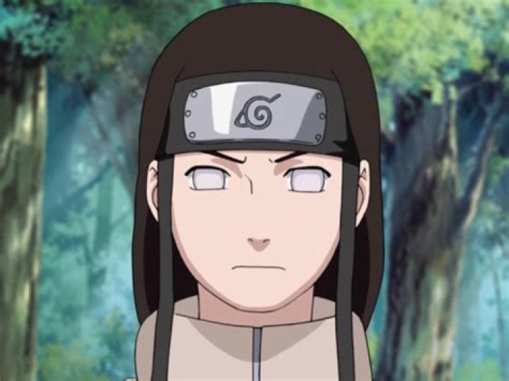 15 Best ISTJ Anime Characters You Need To Know About 7 #9 Neji Hyuga - ISTJ Anime Characters