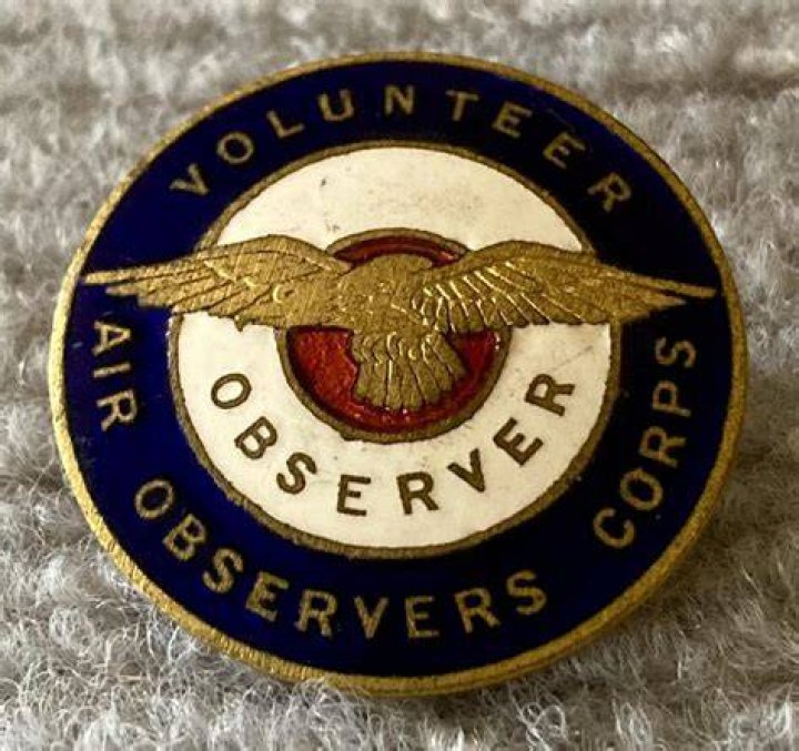 A Broad View Volunteer Corps logo