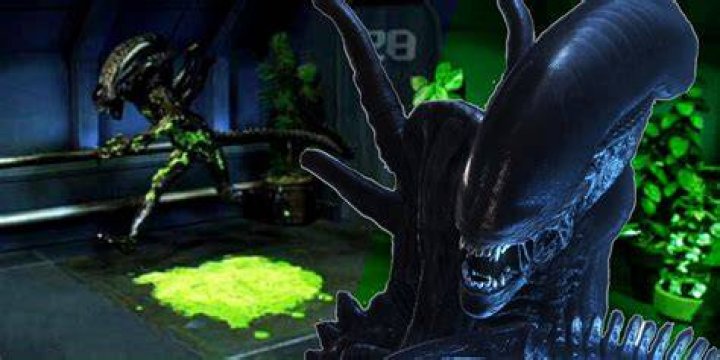 Alien Xenomorph Acid Blood Robot Chicken