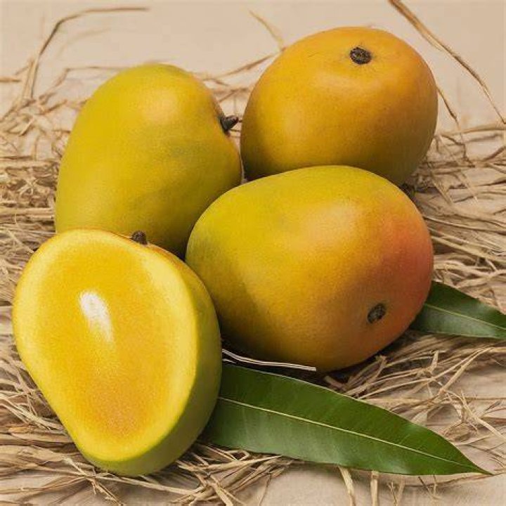 Alphonso A'QenAten Jackson