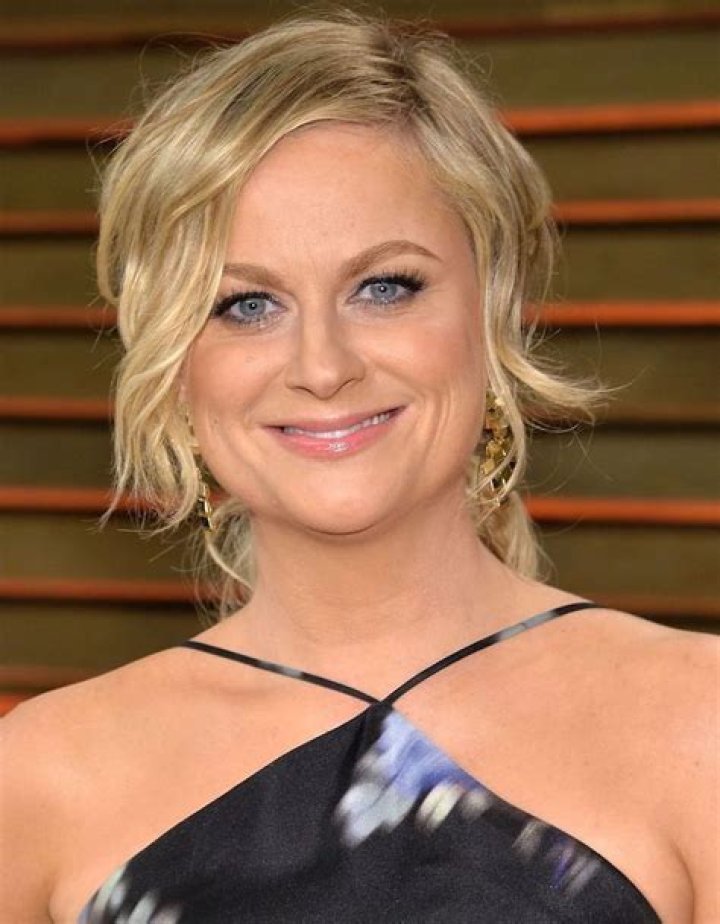 Amy Poehler Net Worth, Wealth, and Annual Salary 2 Rich 2 Famous