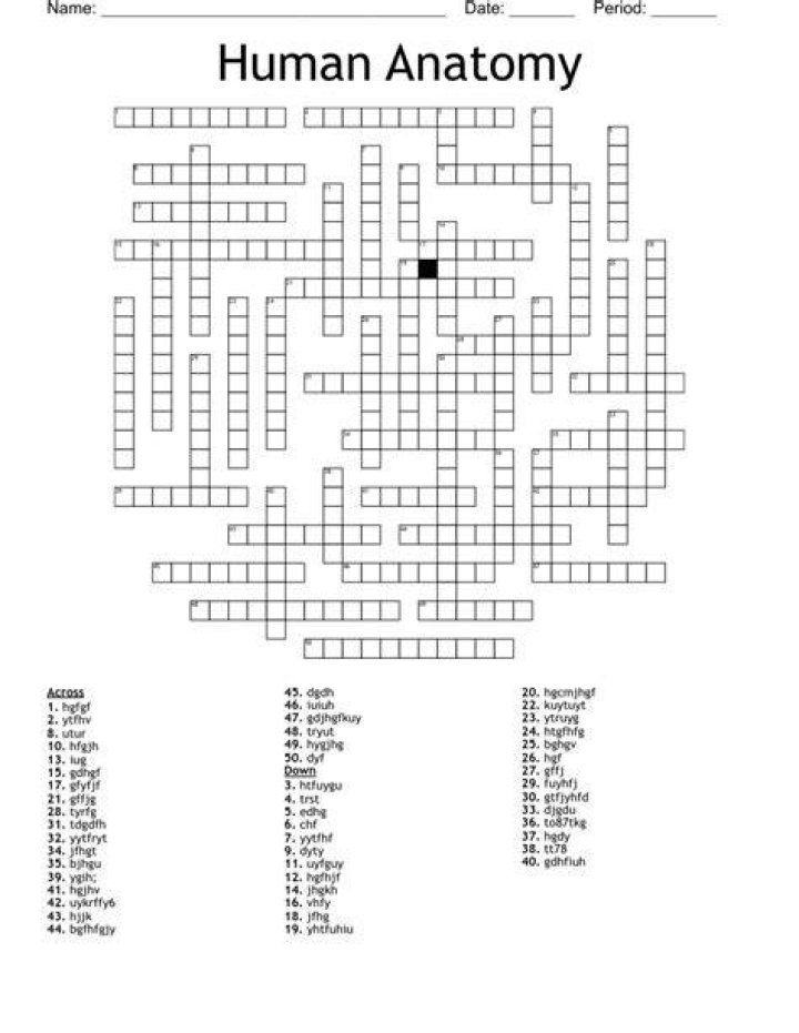 Anatomy Crossword WordMint