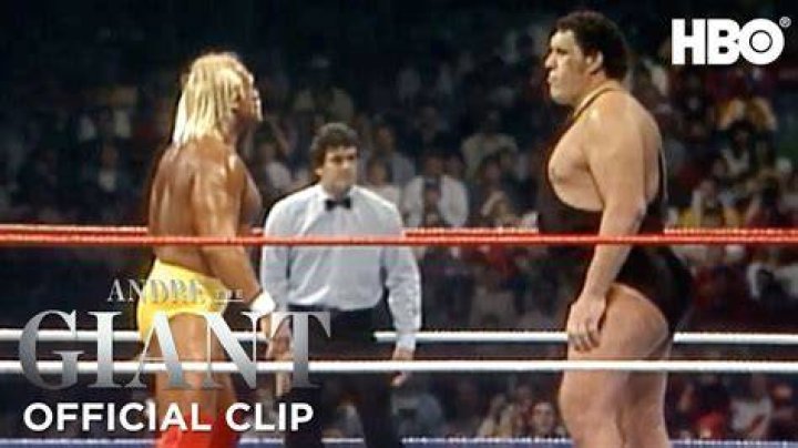 Andre the Giant and Hulk Hogan
