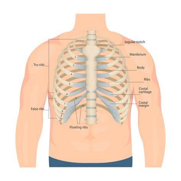 Arm, Finger, Human body, Chest, Human leg, Elbow, Shoulder, Wrist, Standing, Joint, 
