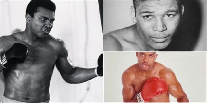 Best Boxing moversd