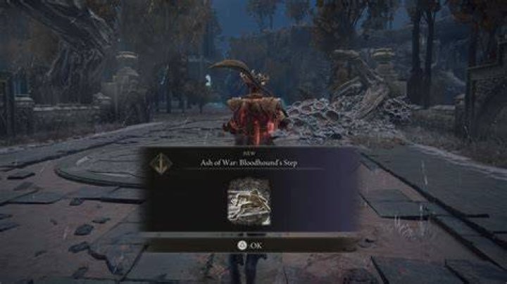 Bloodhound Step