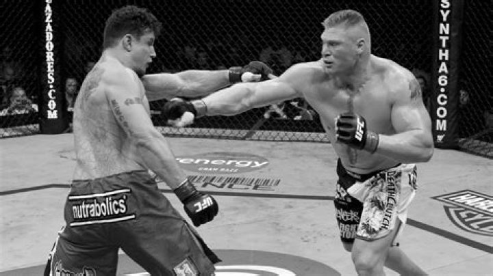 Brock Lesnar UFC