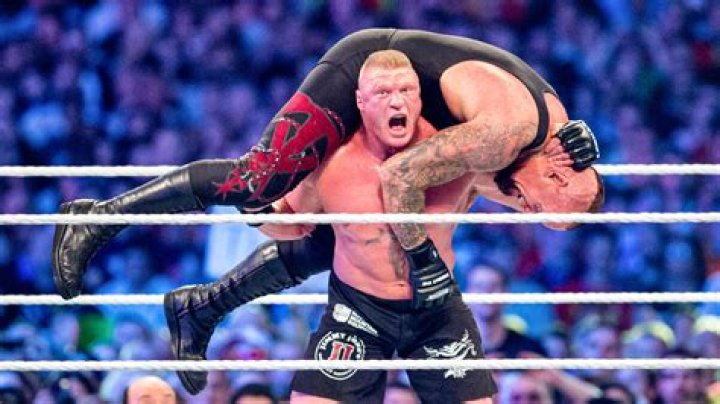 Brock Lesnar vs The Undertaker hell in a cell match