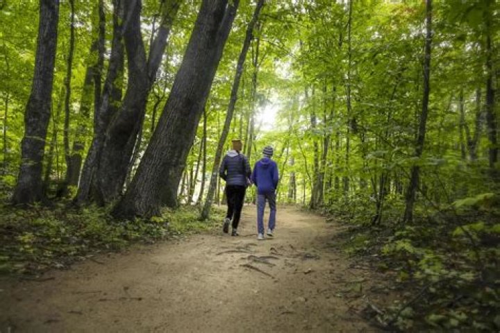 Carol walking through the woods in The Walking Dead