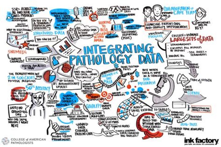 Charting The Future: The Pathology StudentDoc Journey
