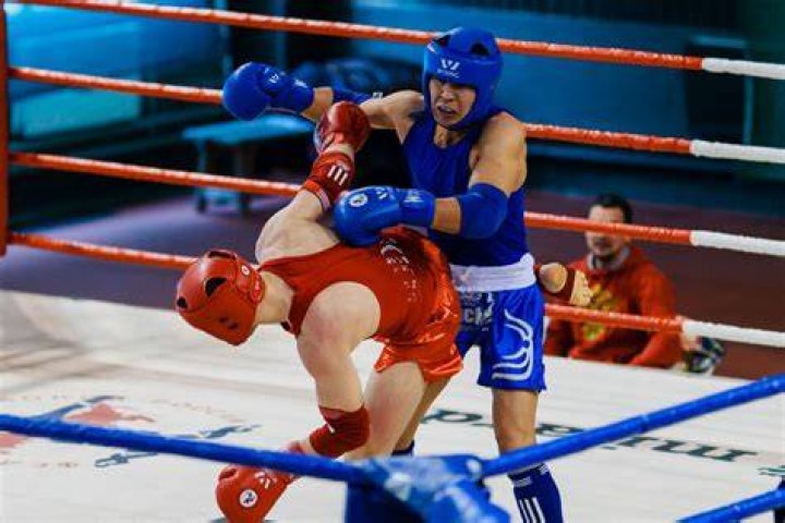 Combat sport, Barechested, Boxing, Contact sport, Sport venue, Professional boxer, Boxing ring, Professional boxing, Boxing glove, Striking combat sports, 