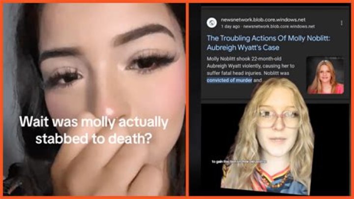 Comprehensive Guide To Molly Noblitt Charges A Legal Overview