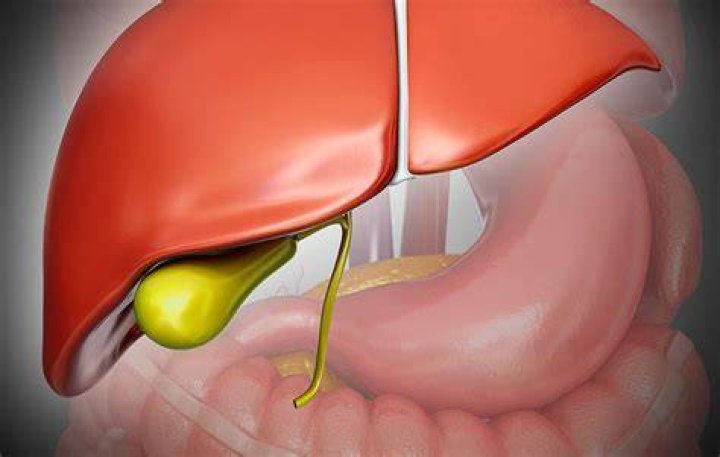 Do You Actually Need Your Gallbladder?