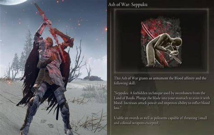 Elden Ring Seppuku