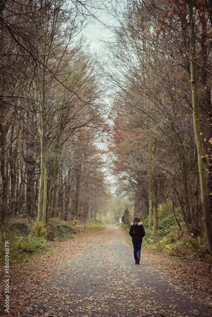 Elizabeth walking alone in The White Queen