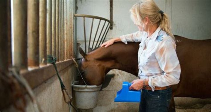 equine nutritionist
