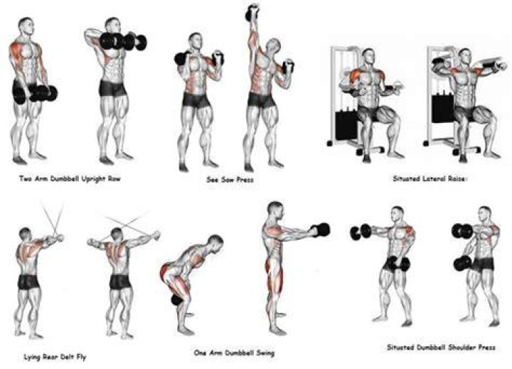 Exercise equipment, Shoulder, Free weight bar, Standing, Arm, Weights, Fitness professional, Leg, Joint, Bench, 