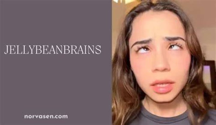 Exploring The Jellybeanbrains Leaks A Comprehensive Overview