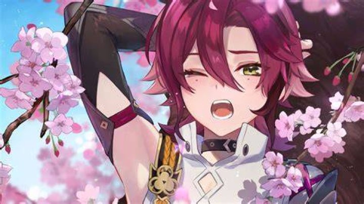 Genshin Impact Heizou