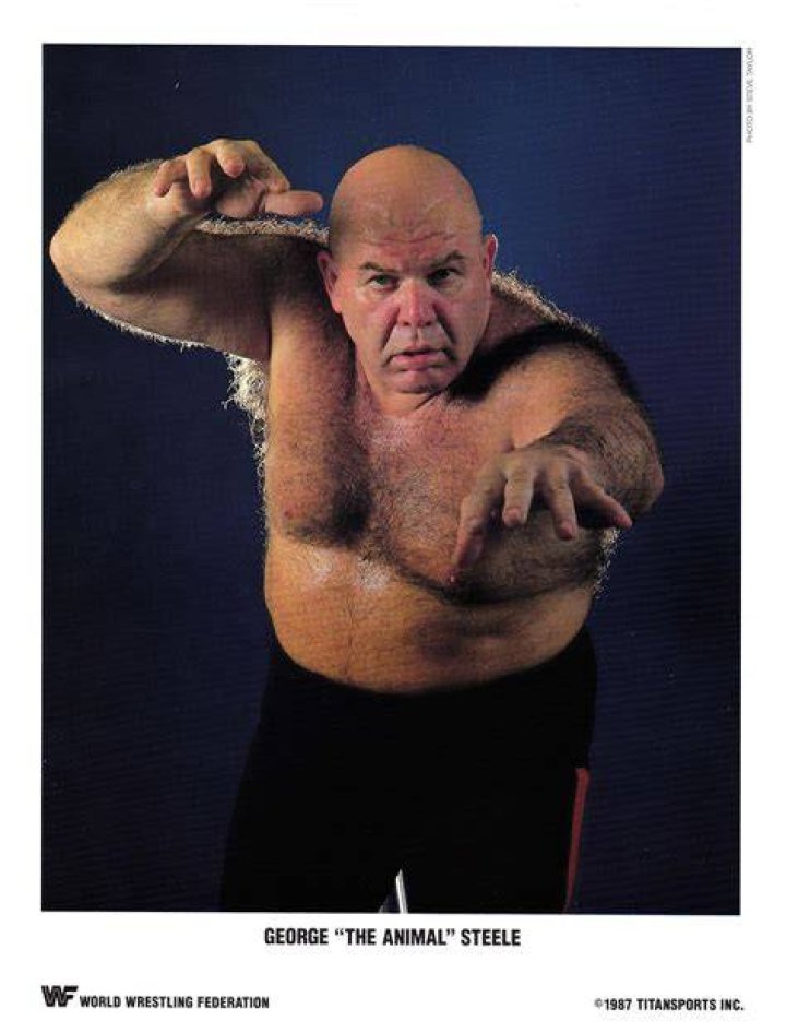 George Steele made one WCW appearance, beating Jeff Jarrett