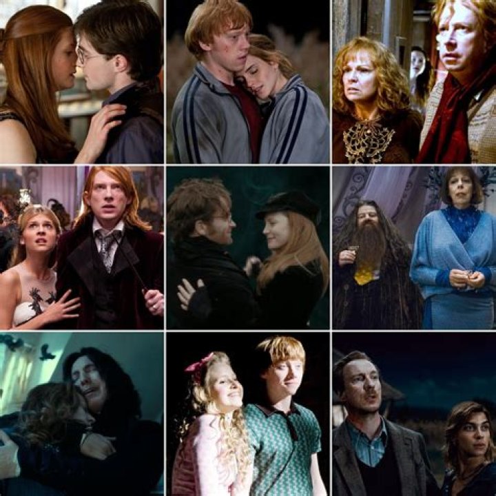 Harry Potter Couples Luna and Rolf Scamander