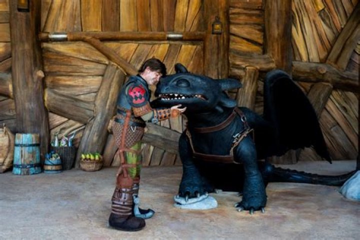 Hiccup and Toothless in How To Train Your Dragon
