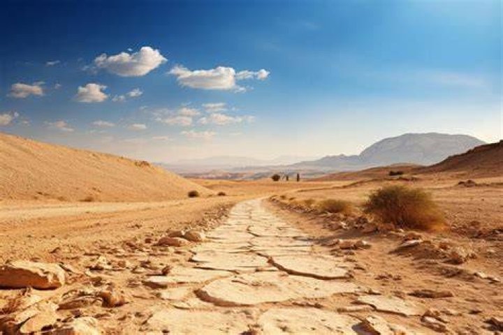 hikers/volunteers on desert path in sunshine