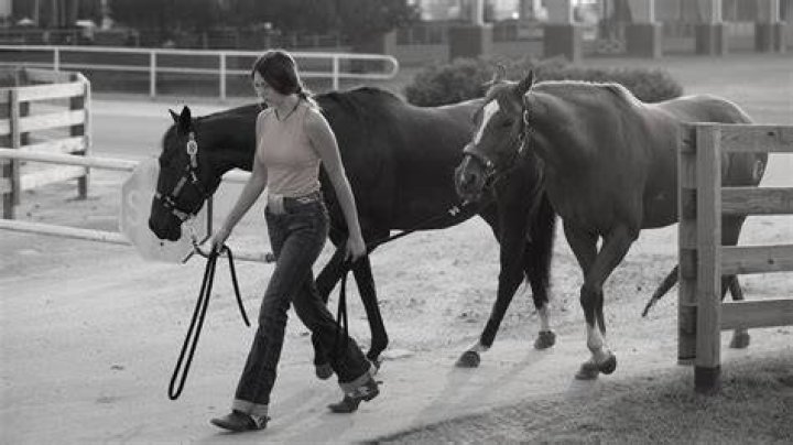 horse and trainer