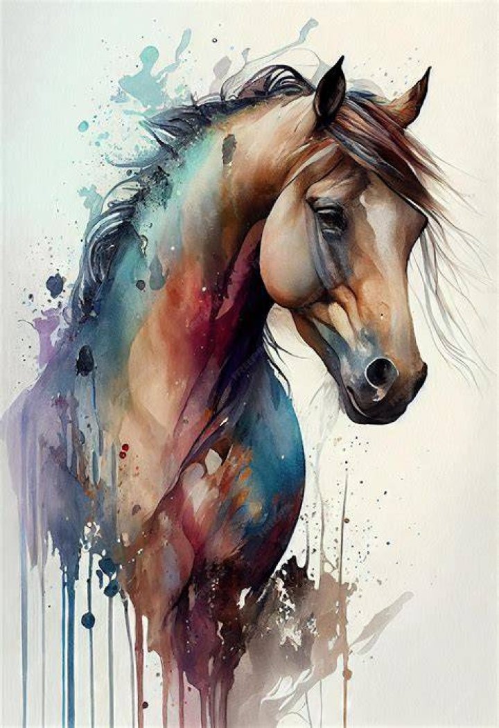 horse artwork