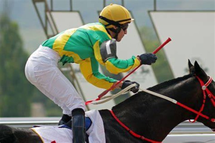 horse jockey