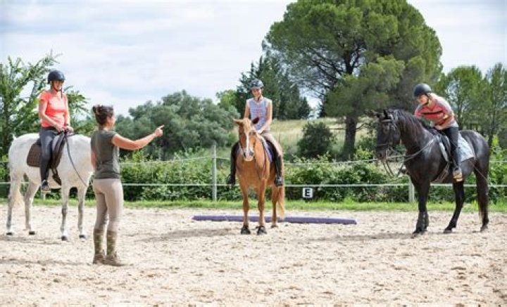 horse riding instructor