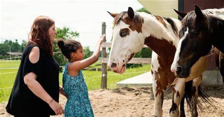 horse therapy