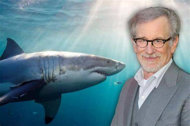 How Steven Spielberg Lost 100 Million in Amy Irving Divorce