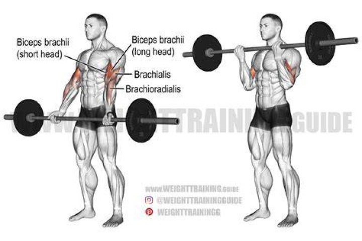 How to Do Barbell Biceps Curls