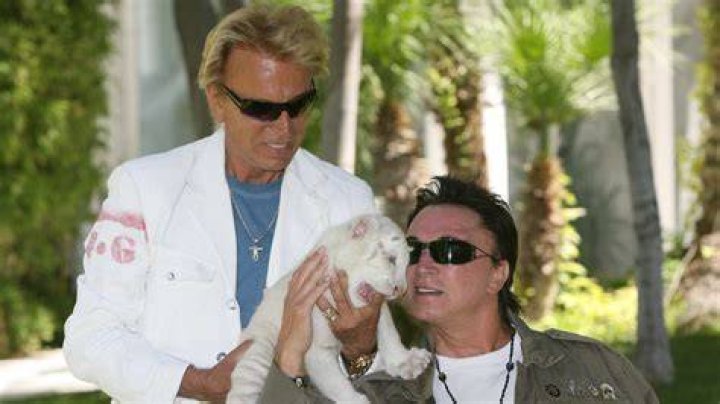 Inside Siegfried And Roy's Relationship