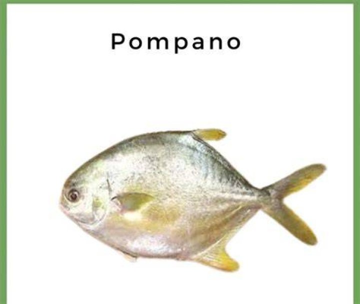 Is Pompano Good For Gout
