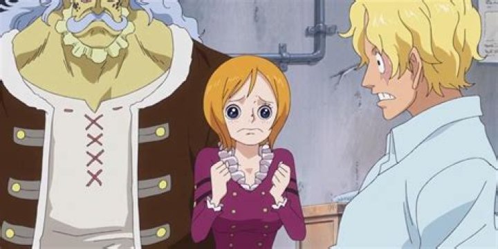 Koala Crying For Sabo With Hack