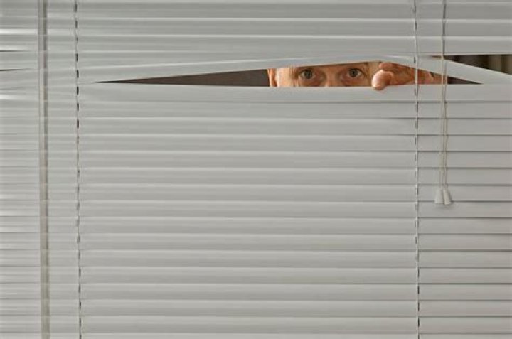 Layla Peeks Through Blinds