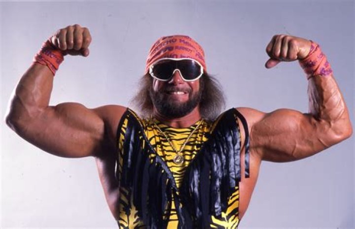 Macho Man Randy Savage in his nWo Wolfpac gear