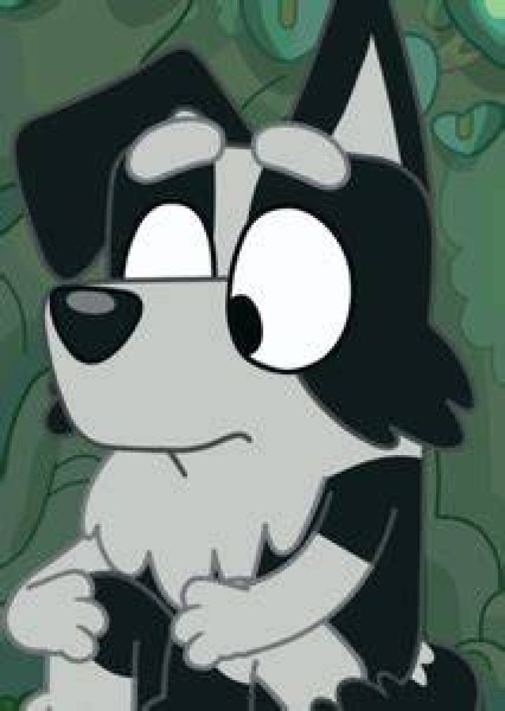 Mackenzie (Bluey) Fan Casting
