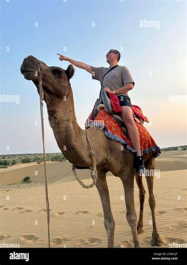 Man and camel