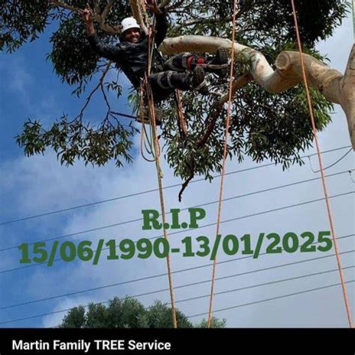 Martin hangs from a tree and Bart takes a shot at him in The Simpsons