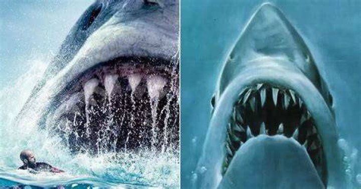 Meg Behind Jaws Shark
